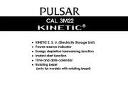 Pulsar