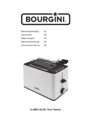 Bourgini