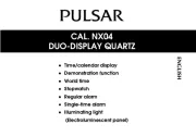Pulsar
