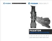 Pulsar