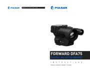 Pulsar