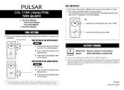 Pulsar