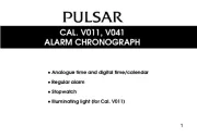 Pulsar