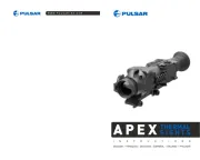 Pulsar
