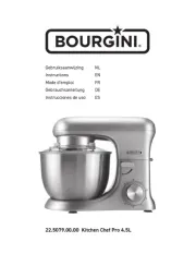 Bourgini
