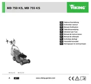 Viking