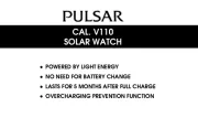 Pulsar