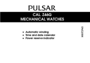 Pulsar