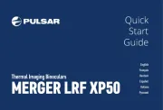 Pulsar