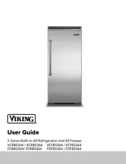 Viking