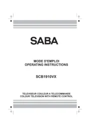 Saba