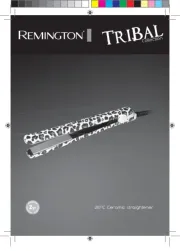 Remington