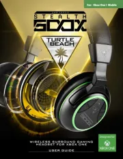 Turtle Beach