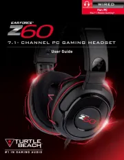 Turtle Beach