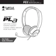 Turtle Beach