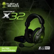 Turtle Beach