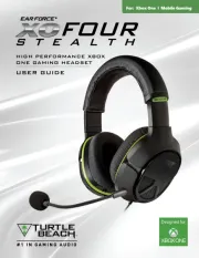 Turtle Beach