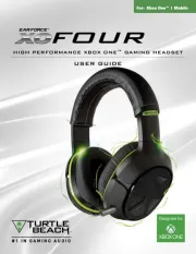 Turtle Beach