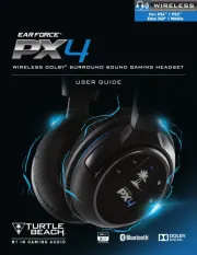 Turtle Beach