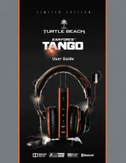 Turtle Beach