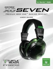 Turtle Beach