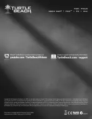 Turtle Beach