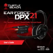 Turtle Beach
