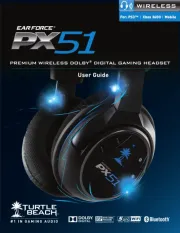 Turtle Beach