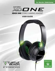 Turtle Beach