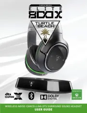 Turtle Beach