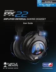 Turtle Beach