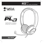 Turtle Beach