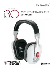 Turtle Beach