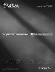 Turtle Beach