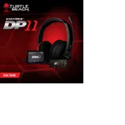 Turtle Beach