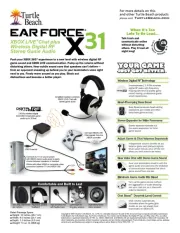 Turtle Beach