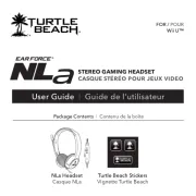 Turtle Beach