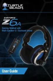 Turtle Beach