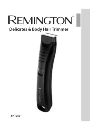 Remington