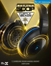 Turtle Beach