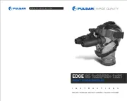 Pulsar