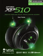 Turtle Beach