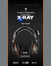 Turtle Beach
