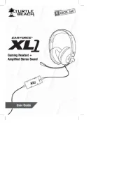 Turtle Beach