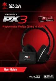 Turtle Beach