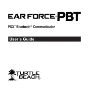 Turtle Beach