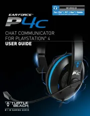 Turtle Beach