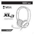 Turtle Beach