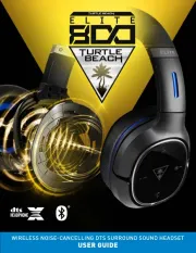 Turtle Beach