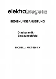 Elektra Bregenz